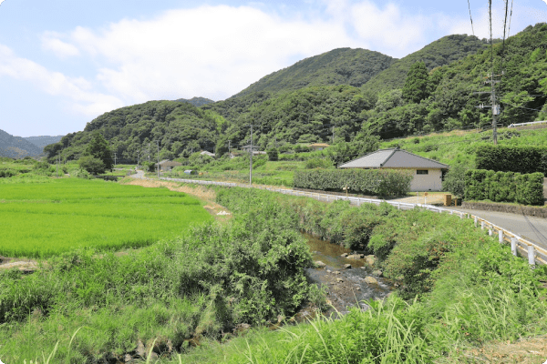 ②A straight road continues. The road becomes narrower as you come into view of the Satoyama landscape.